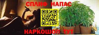 каннабис Пушкино