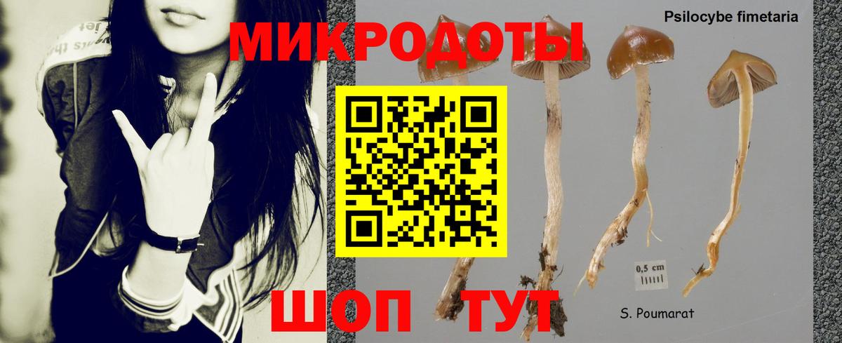 Пыть-Ях  Галлюциногенные грибы Psilocybe  Вход с VPN 
